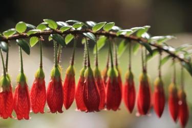 广州天河区8私人快速借钱网，轻松解决资金难题