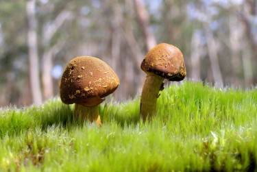 广州天河区8私人老板放款：轻松融资的秘密通道